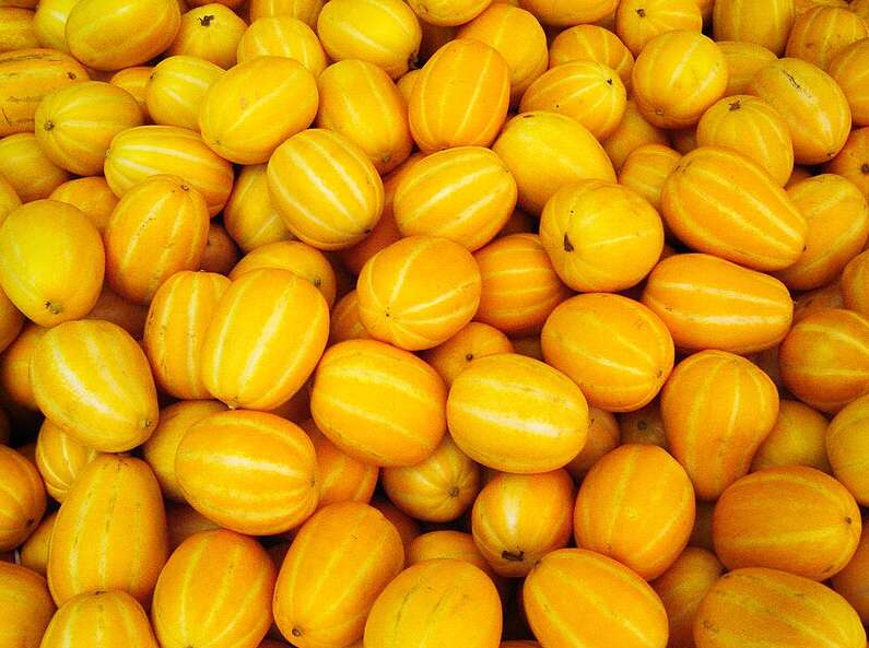 참외의 놀라운 효능, 상큼한 여름 과일