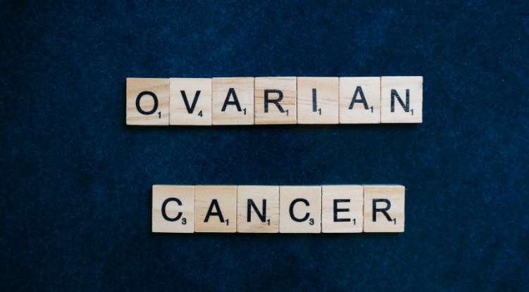 카나리아바이오의 성공 스토리