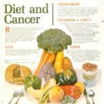 암 환자 영양식(암과 싸우는 영양)