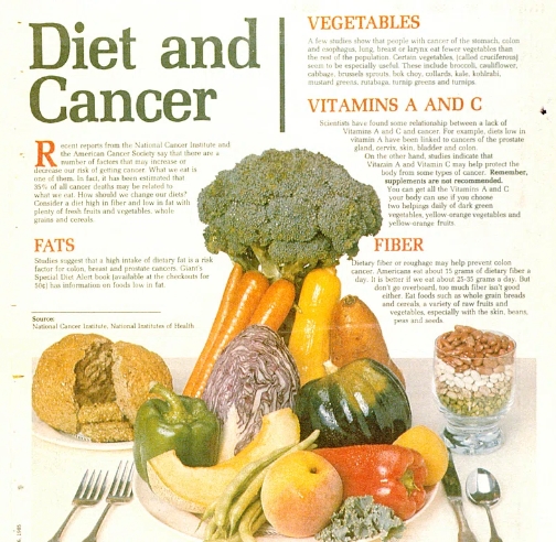 암 환자 영양식(암과 싸우는 영양)