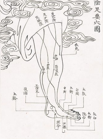 발 지압점의 과학적 원리