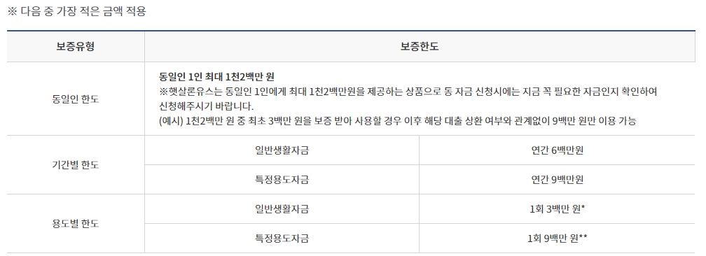 청년들의 금전적 부담을 줄이기 위한 햇살론유스(금융) 신청하기 보증한도