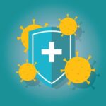 면역력을 위한 식생활: 신체 방어력을 강화하는 10가지 식품