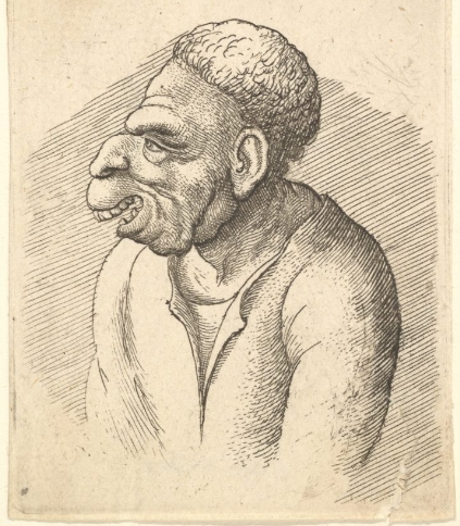 매부리코의 역사와 문화적 의미