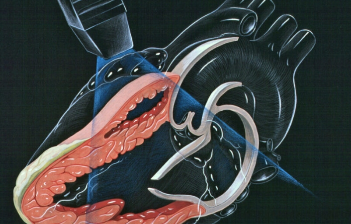 당황하지 마세요! 공황장애 심장마비 차이점을 구분하는 방법