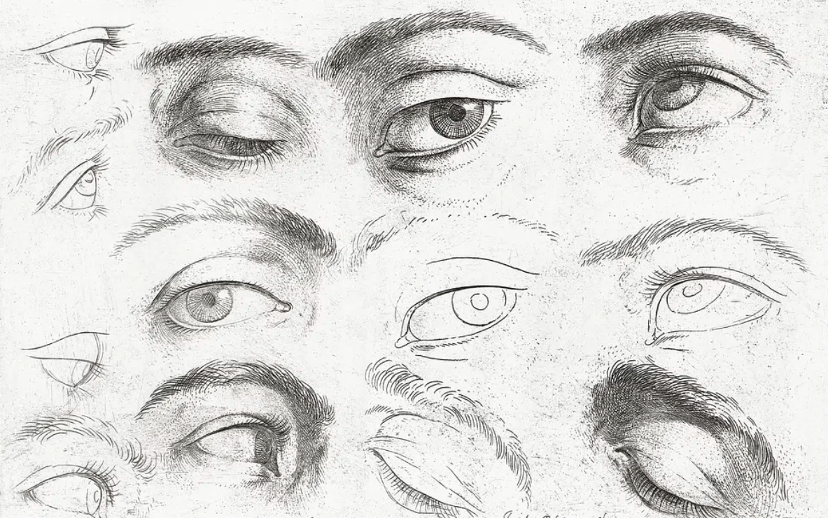 눈 밑 지방 재배치