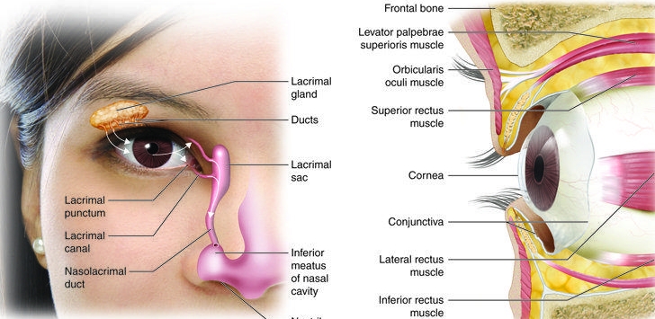 시력 교정 수술의 장단점과 종류: 선택의 지혜
