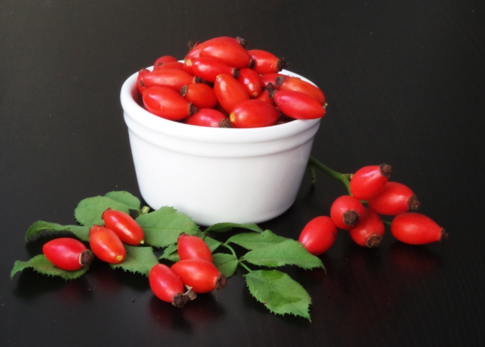 베르베린 효능에 대한 이해