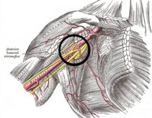 겨드랑이 임파선이 붓는 이유