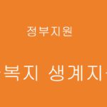 정부에서 지원하는 긴급복지 생계지원금 혜택확인 및 신청하기