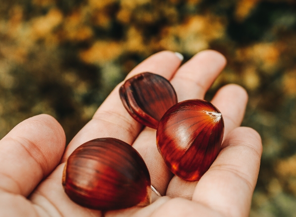 밤 효능 및 부작용, 말린 밤, 삶은 밤, 레몬 밤