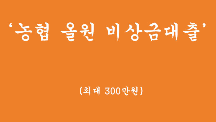 기초수급자,무직자,주부,대학생 분들을 위한 농협 올원 비상금대출 혜택 및 신청(최대 300만원)