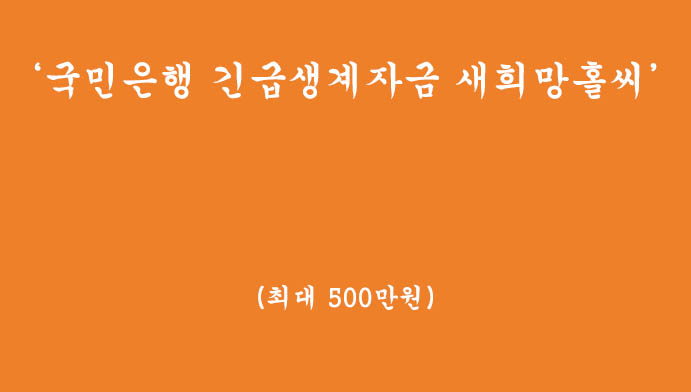 국민은행 긴급생계자금 새희망홀씨 혜택 및 신청하기(최대 500만원)
