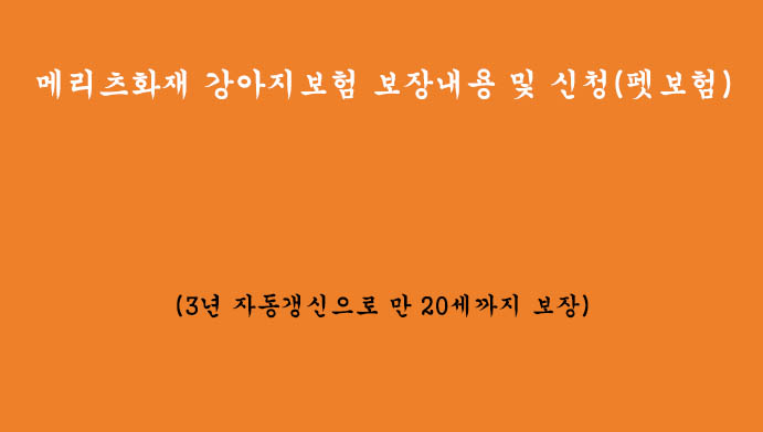 메리츠화재 강아지보험 보장내용 및 신청하기(펫보험)