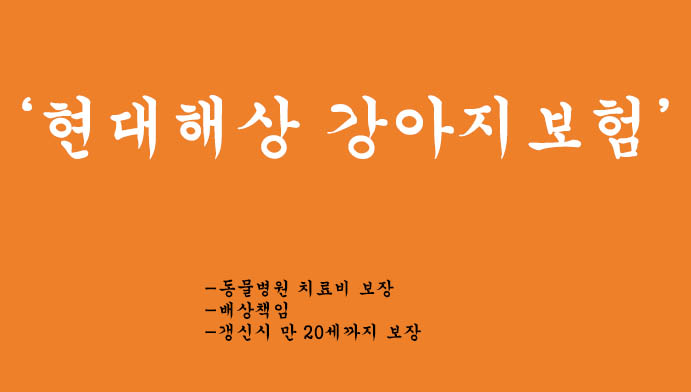 애완견을 위한 현대해상 강아지보험 혜택 및 신청(다이렉트 하이펫보험),출생부터 장례까지
