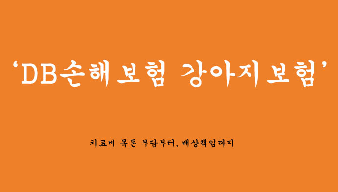실손에서 배상 및 장례까지 DB손보 강아지보험 신청하기(펫블리 반려견 보험)