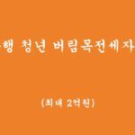 저금리 전세자금, 우리은행 청년 버팀목전세자금대출(최대 2억원)