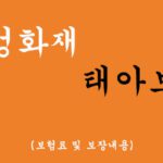 삼성화재 태아보험 혜택 및 신청(3만원 중반)필수보험 추천!