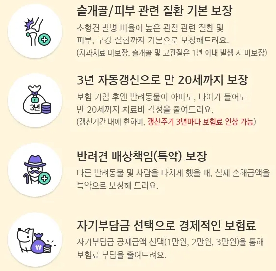 메리츠화재 강아지보험