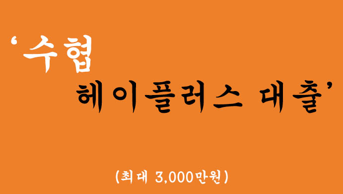 수협에서 운영하는 헤이플러스 대출 혜택 및 신청(최대 3000만원)