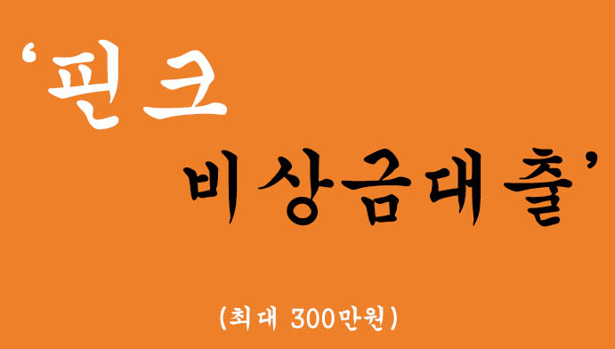 핀크 비상금대출 혜택 및 신청(최대 300만원)-저신용자 가능
