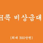 NH콕 비상금대출 혜택 및 신청(최대 300만원,마이너스 통장)-비대면,모바일대출