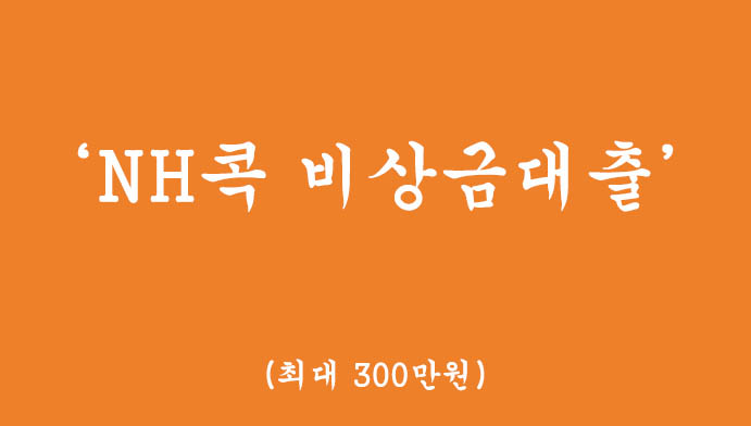NH콕 비상금대출 혜택 및 신청(최대 300만원,마이너스 통장)-비대면,모바일대출