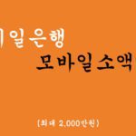 SC제일은행에서 시행하는 모바일소액대출(최대 2000만원)-무직자, 주부, 대학생가능