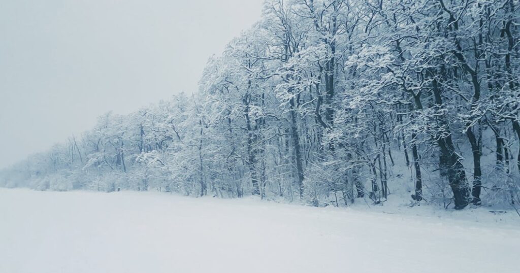 절기 대설(大雪): 의미, 인사말, 음식과 풍속 알아보기