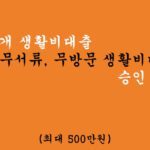 핀크 번개 생활비대출-무서류, 무방문 생활비대출 승인 쉬운 곳(최대 500만원)