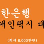 신한은행 개인택시 대출 혜택 및 신청(최대 6,000만원)-신차, 중고차 모두가능