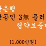 부산은행 소상공인 3無 플러스 협약보증대출 신청방법, 코로나19 및 소상공인지원(최대 1000만원)