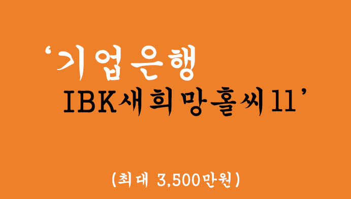 기업은행 IBK새희망홀씨Ⅱ 혜택 및 신청(최대 3500만원),저소득 및 저신용자를 위한 정부지원 서민금융