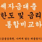 전세자금대출 한도 및 금리 통합비교하기(금융감독원, 나에게 맞는 대출찾기)