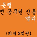 제주은행 비대면 공무원 신용대출 엘리트론 혜택 및 신청(최대 2억원)