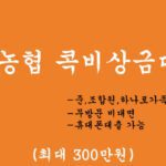 NH농협 콕비상금대출 혜택 및 신청(최대 300만원): 무방문 비대면 휴대폰대출 가능,준,조합원,하나로가족고객 대상