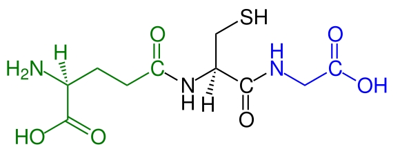 글루타치온 성분