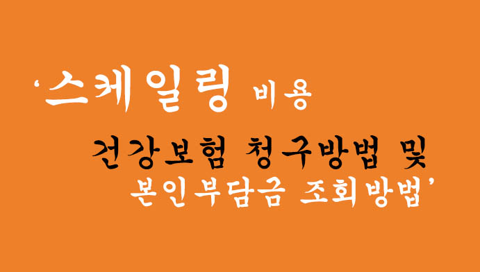 스케일링 비용 건강보험 청구방법 및 본인부담금 조회방법