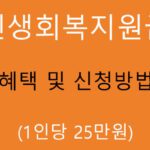 민생회복지원금 혜택 및 신청(25만원): 자격요건, 지원내용