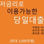저금리로 이용가능한 당일대출 총정리(최대 3000만원): 무방문 비대면, 온라인대출