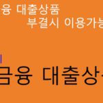 2금융권 저금리 대출상품 요약정리: 1금융 대출상품 부결시 이용해 보세요