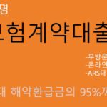 한화생명 보험계약대출 혜택 및 신청(최고 해약환급금의 95%까지): 보험고객 신용대출,약관대출