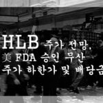 HLB 주가 전망, 美 FDA 승인 무산 주가 하한가 및 배당금 요약정리