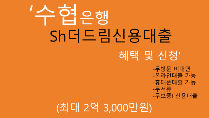 수협은행 Sh더드림신용대출 혜택 및 신청(최대 2억3000만원): 무방문 비대면, 휴대폰대출 가능, 무서류, 대환대출, 무보증