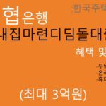 수협은행 내집마련디딤돌대출(한국주택금융공사): 최대 3억원,온라인대출,무방문 비대면