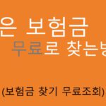 숨은 보험금 무료로 찾는방법: 보험금 찾기 무료조회