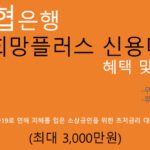 농협은행 NH희망플러스 신용대출 혜택 및 신청(최대 3000만원):휴대폰대출, 초저금리 소상공인 방역지원금,손실보전금