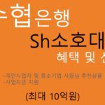 수협은행 Sh소호대출 혜택 및 신청(최대 10억원):개인사업자 및 중소기업 사장님 추천상품,사업자금 지원