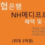 농협은행 NH메디프로론 혜택 및 신청(최대 3억원): 온라인 대출상품, 의료인 우대 신용대출, 무방문