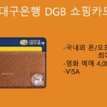 대구은행 DGB 쇼핑카드 혜택 및 신청:국내외 온/오프라인 쇼핑 최대 10%할인,영화예매 4000원 할인